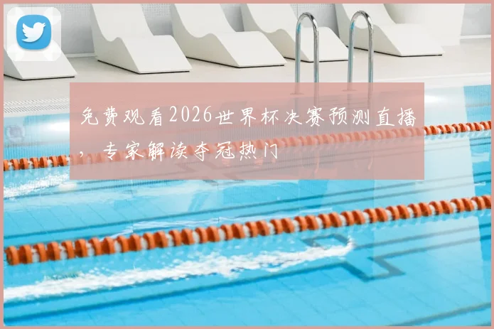 免费观看2026世界杯决赛预测直播，专家解读夺冠热门